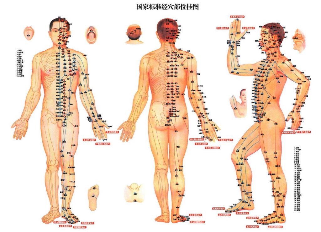 meridien acupuncture