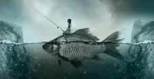 Compatibilité en amitié avec le Poisson
