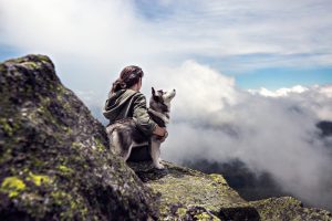 Rêver De Chien Quelles Significations Sosvoyantscom