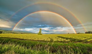 Signification de rêver de pluis de soleil et d'arc en ciel