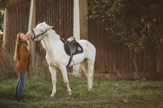 rever de dompter un cheval