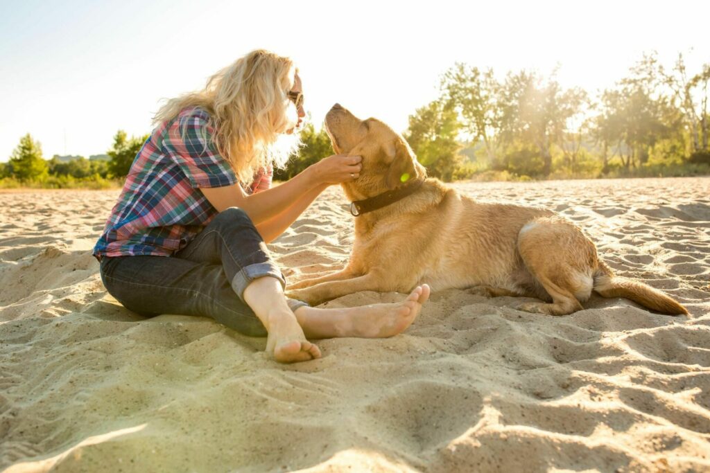 chien-signe-verseau