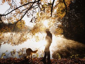 communiquer avec son chien apres sa mort