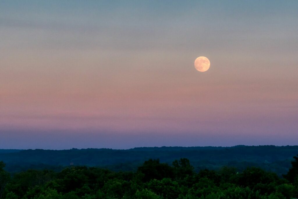 pleine-lune-rose